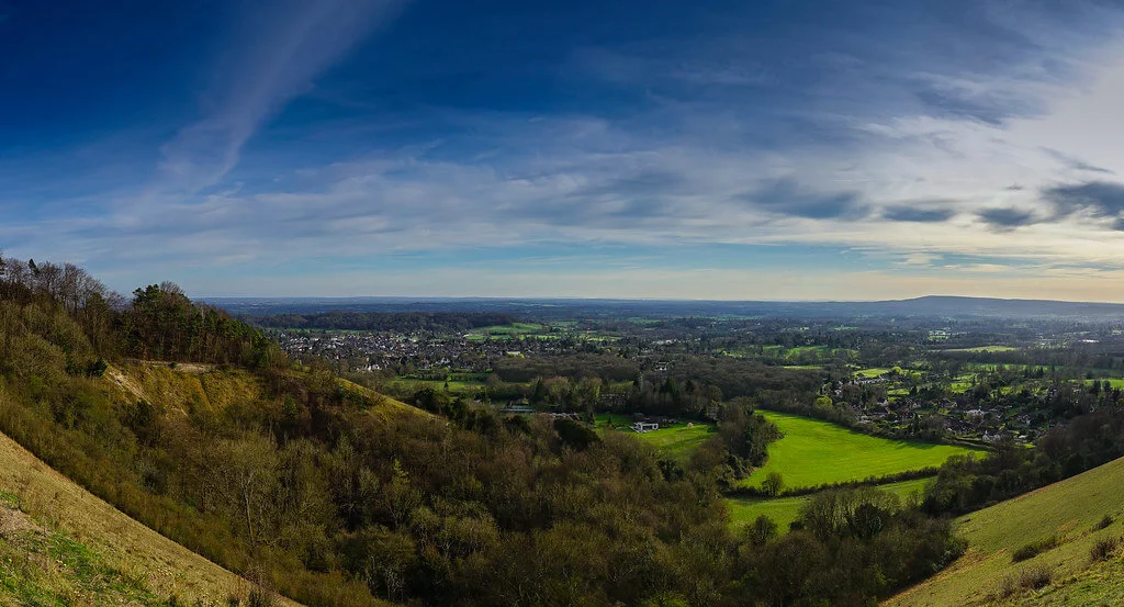 Springtime In Surrey Countryside
