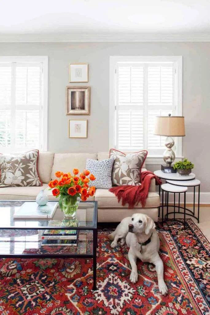 Bright Colors In Simple Living Room