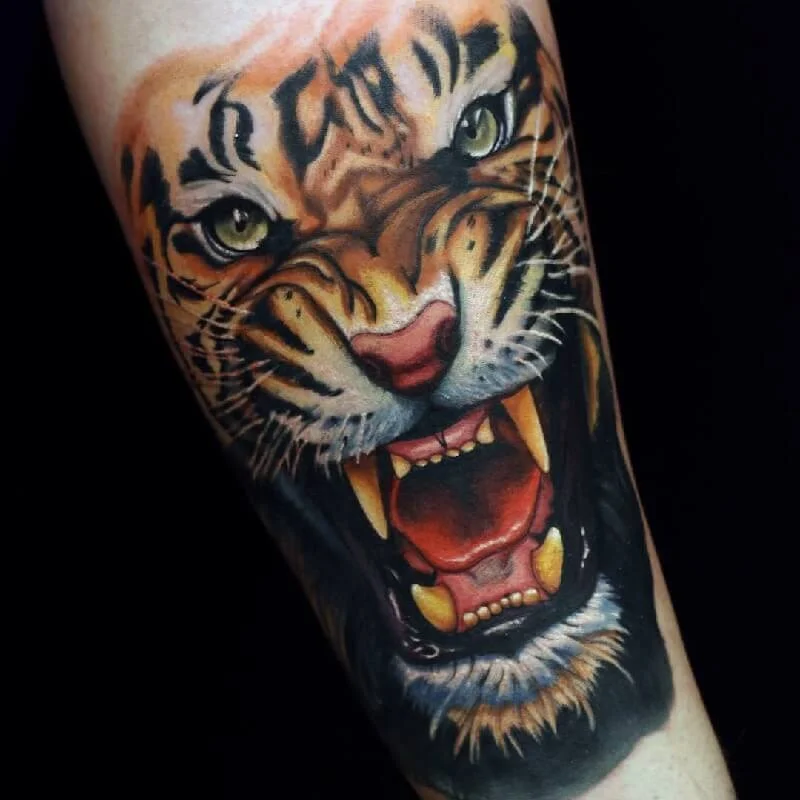 Roaring Tiger Arm Design
