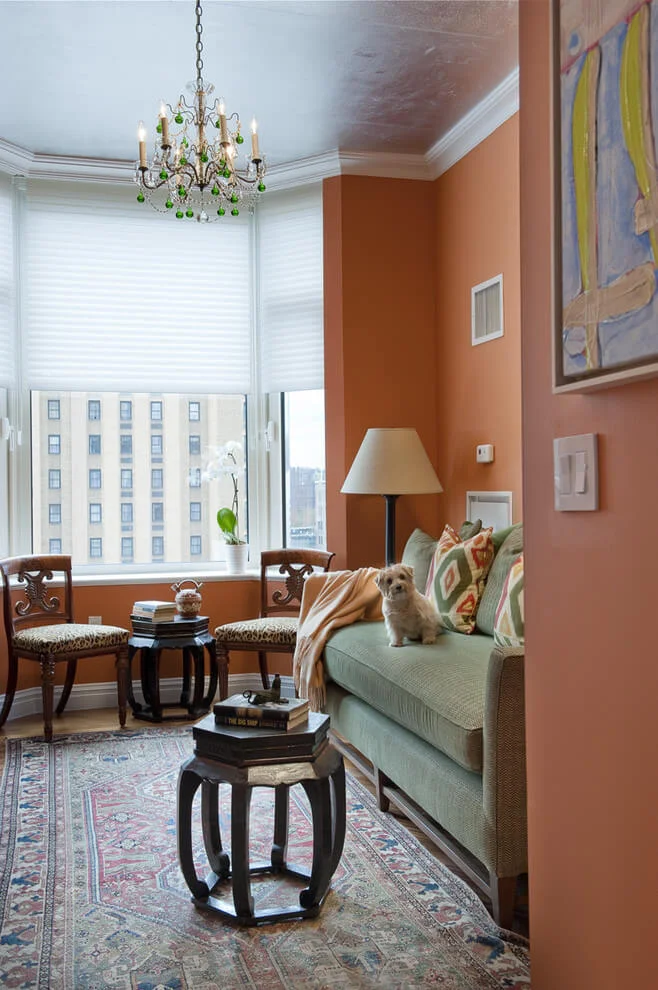 Brown Walls In Cozy Living Room