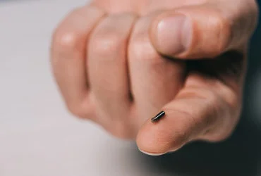Microchipping1
