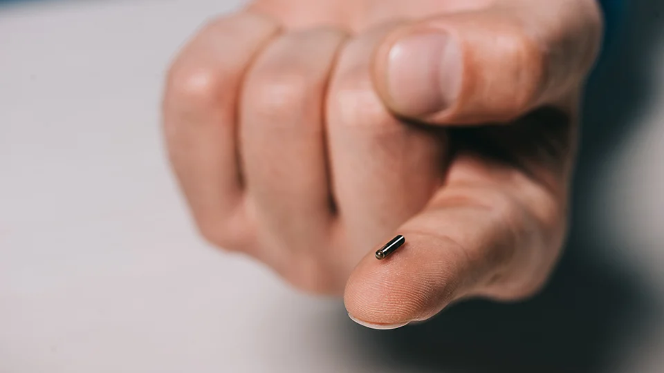 Microchipping1