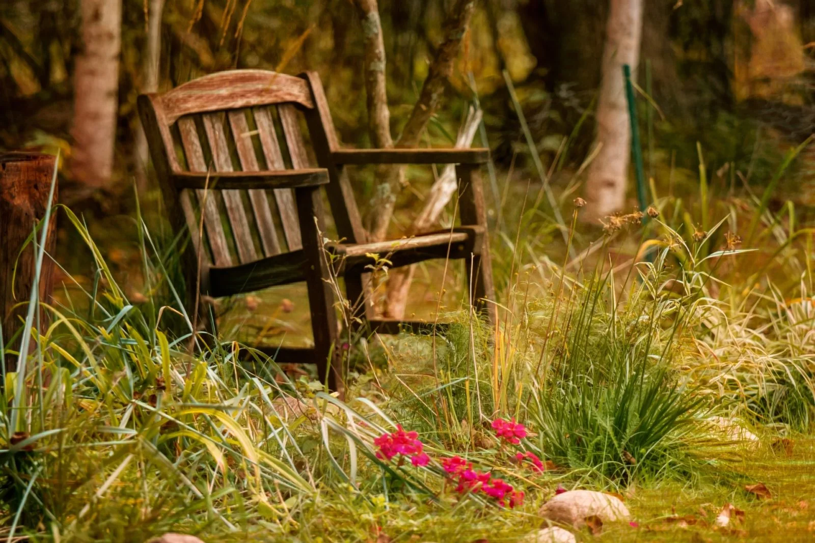 old wooden chair in need of refurbishing