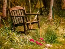 old wooden chair in need of refurbishing