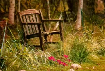 old wooden chair in need of refurbishing