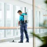 Cleaning the Carpet Efficiently