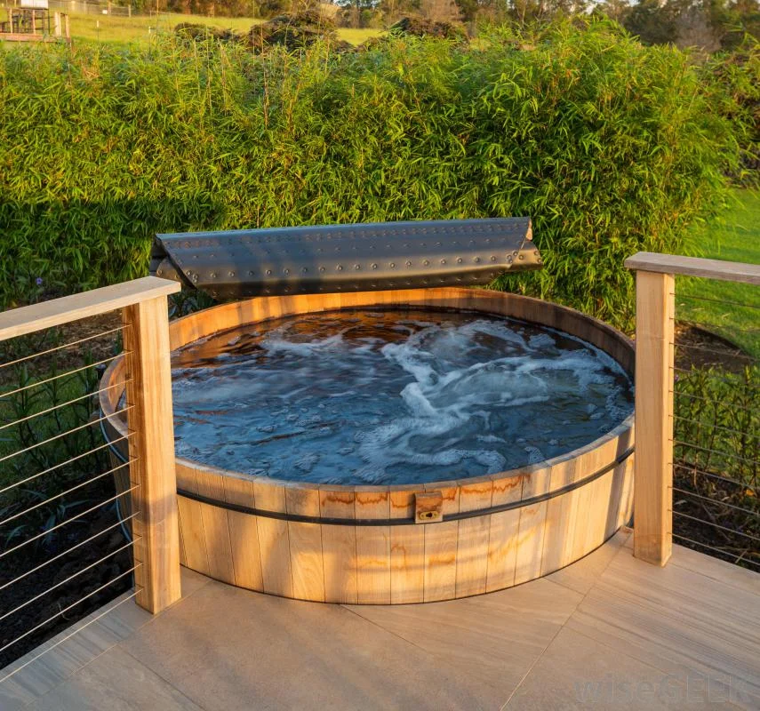 Hot Tub or a Spa