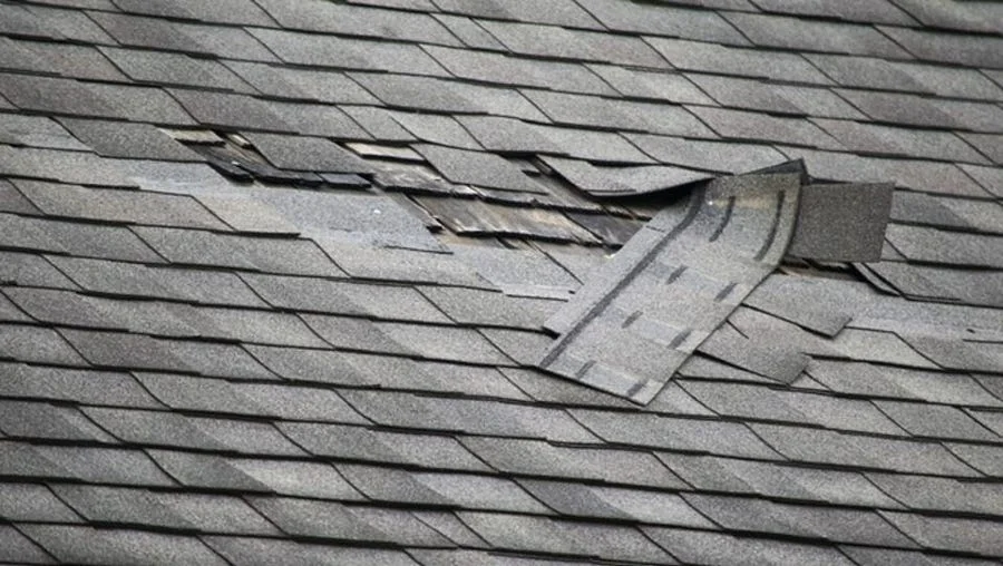 Need Of Repair1