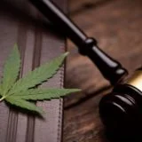 cannabis law 1