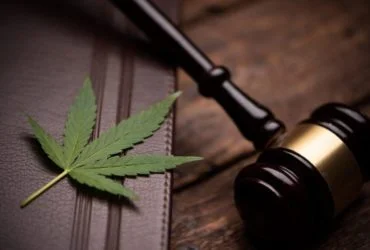 cannabis law 1