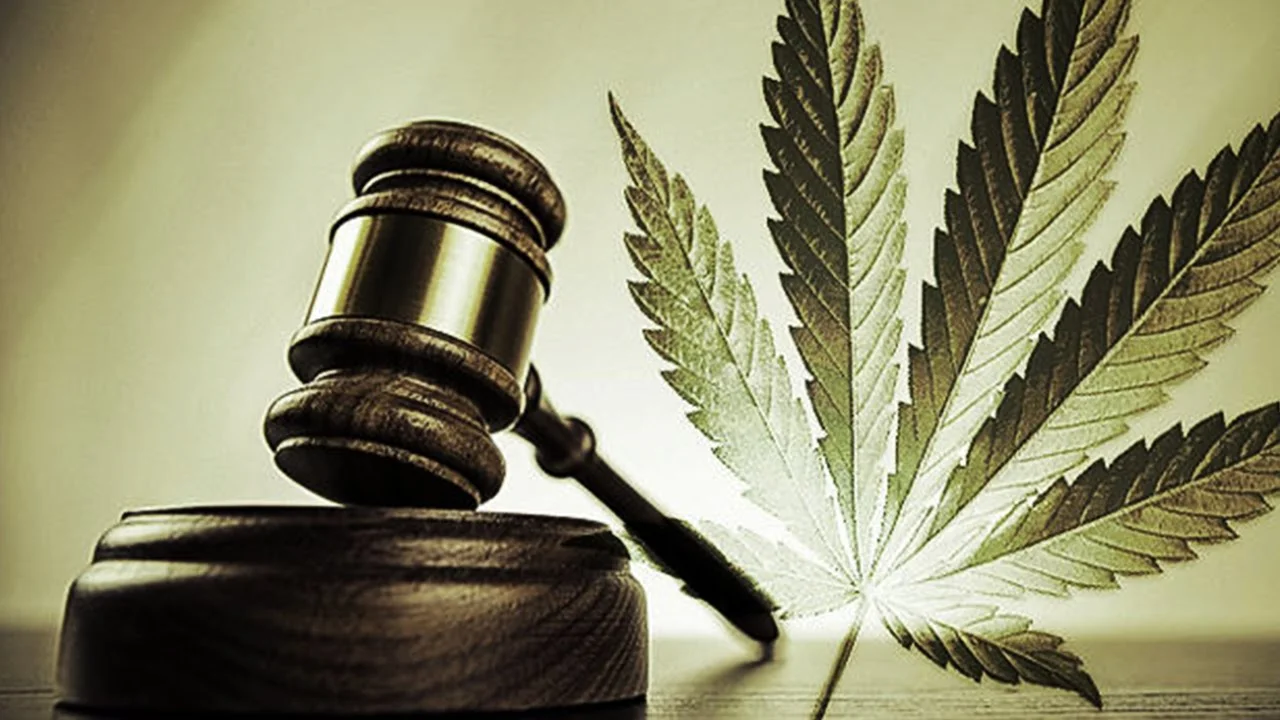 cannabis law 2