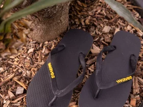 Flip Flops 3