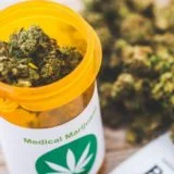 Marijuana 1