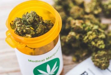 Marijuana 1