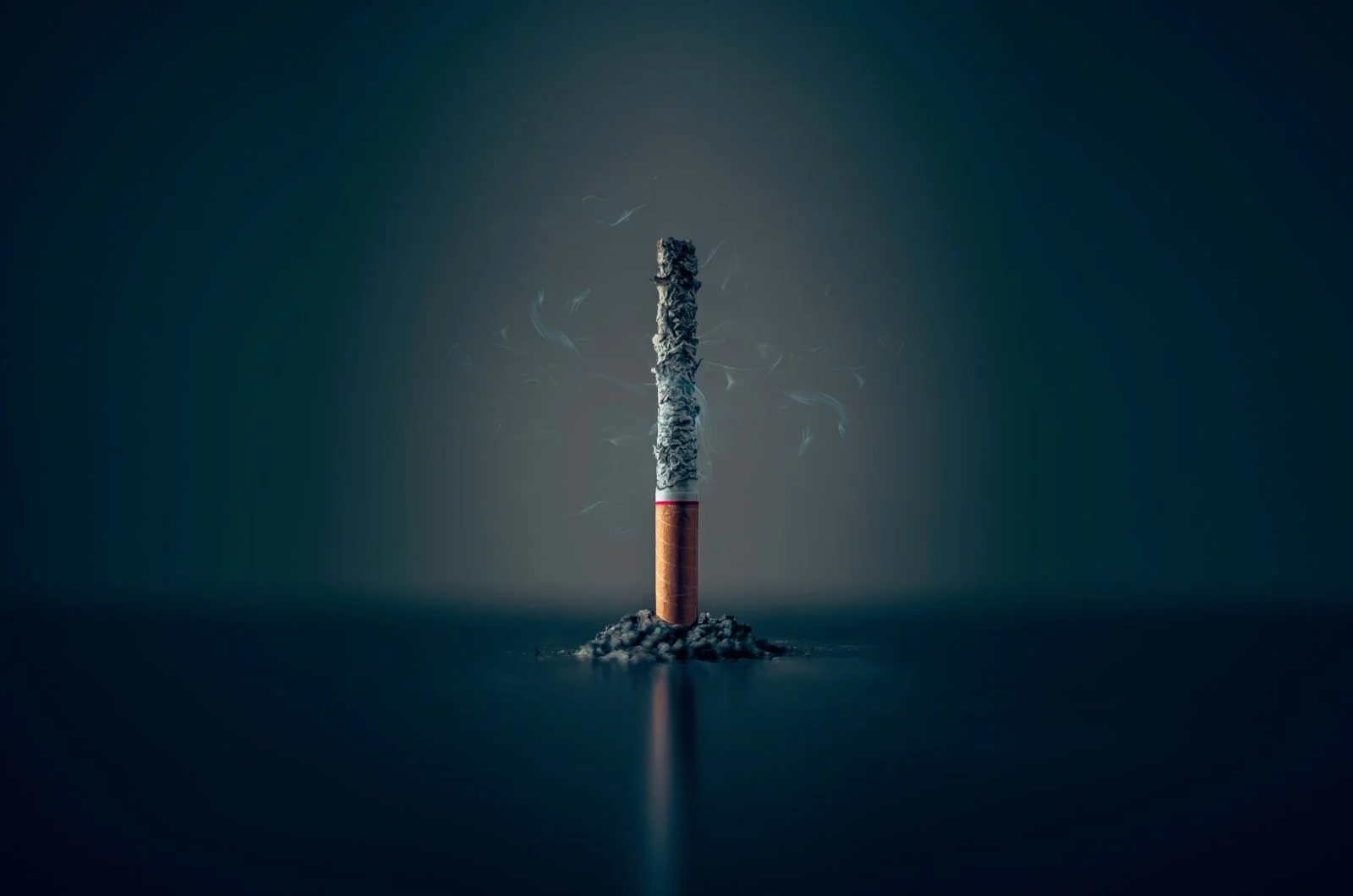 mathew-macquarrie-lzcKZlVPYaU-unsplash