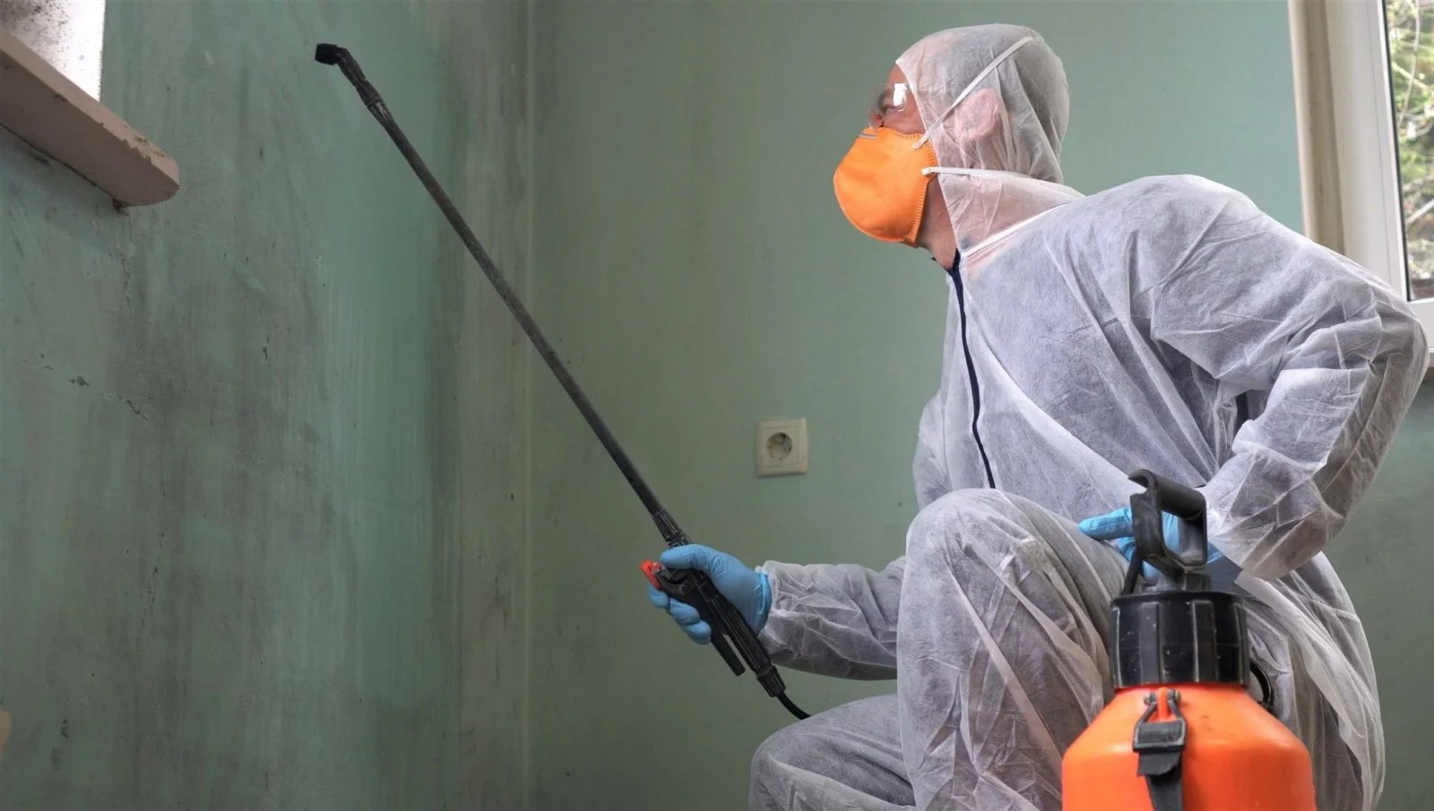 Mold Remediation Company 1