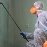 Mold Remediation Company 1