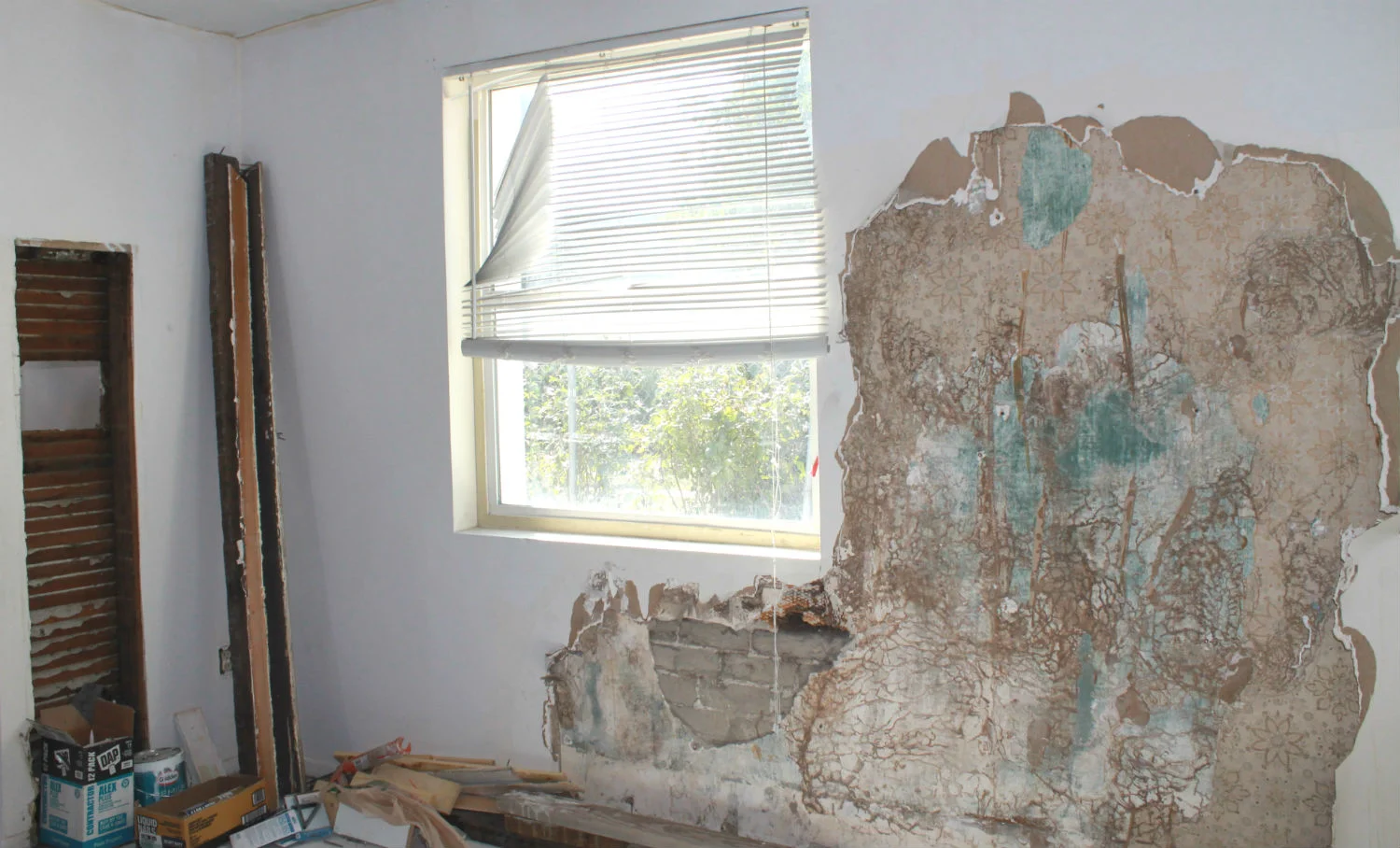 Proactive Mold Management 1